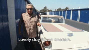 Lovely Day For An Auction