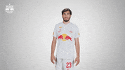 Bow And Arrow Football GIF by FC Red Bull Salzburg