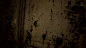 GIF by PlayStation