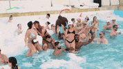 Partypokerlive poker paradise cpp partypoker GIF