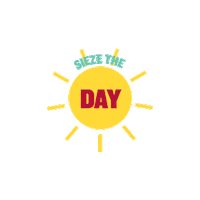 seize the day class of 2019 Sticker by Boston University