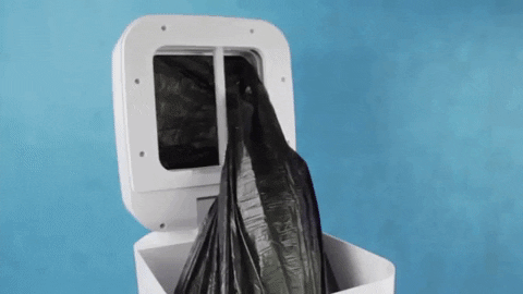 themainprojectl giphygifmaker GIF