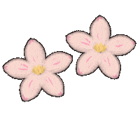 Cherry Blossom Pink Sticker