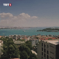 Tuesday Morning Turkey GIF by TRT