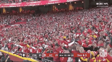 Kansas City Chiefs Football GIF by NFL
