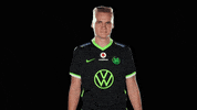 E Sports Sport GIF by VfL Wolfsburg