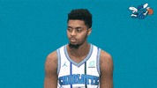happy fresh prince GIF by Charlotte Hornets