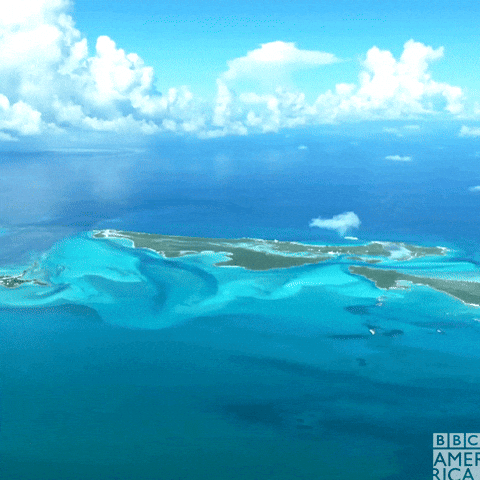 Tropical Island Ocean GIF by BBC America
