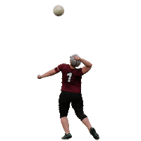 Sport Ball Sticker by Faustball Traun - St.Martin