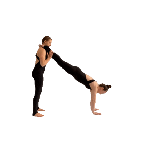 Duo Handstand Sticker by ShellyFLEX