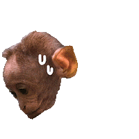 Baby Monkey Sticker