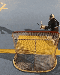 Ball Hockey GIF by USABH_giphy