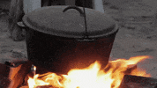 jugendleiter camp essen campfire fertig GIF