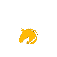 BetterHorseSupplements horses paarden healthyhorses betterhorsesupplements Sticker