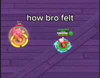 Bro GIF