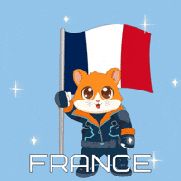 France Football GIF by Hamieverse