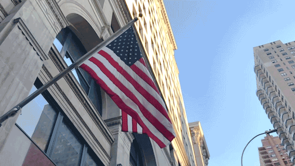 GIF by New York University