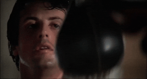 nemopoint giphyupload training box rocky GIF