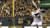 Lg GIF