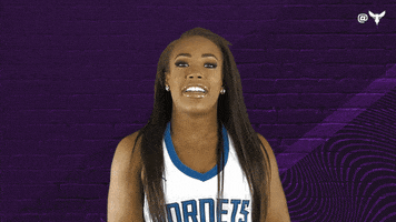 Honey Bee Dance GIF by Charlotte Hornets