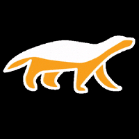 labitcoineta bitcoin honeybadger bitcoineta labitcoineta GIF