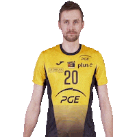 Volleyball Ok Sticker by PGE Skra Bełchatów