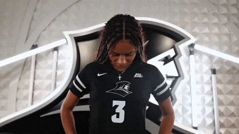 Volleyball Homes GIF by Providence Friars