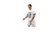 Lacrosse Bluehens Sticker by Delaware Blue Hens