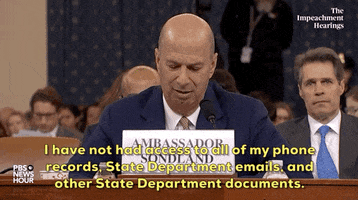 Impeachment Hearings GIF