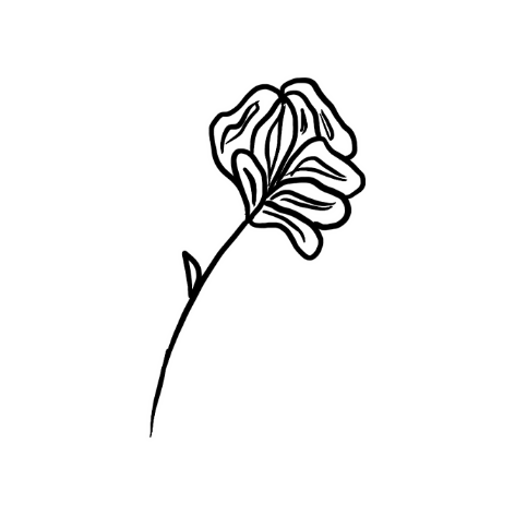 MaSoeurEtMoi giphygifmaker flower vogue msem Sticker