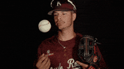 Littlerockbsb2021 GIF by Little Rock Athletics
