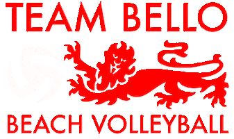 Sport Play Sticker by Aurora Beach Volleyball