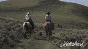 Dog Horse GIF by Magnolia Pictures
