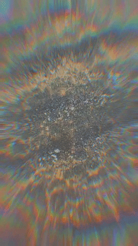 hesstuck nature water beach ocean GIF