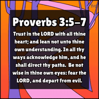 Gods Plan Understanding GIF by Young Faith in Christ