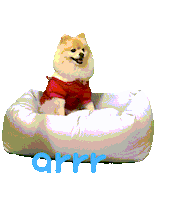 아르르 Sticker by arrr_official