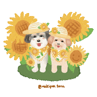 Puppy Spring Sticker