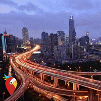 holidaypirates travel adventure beautiful cinemagraph GIF