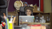 holidaypirates fun party wow celebration GIF