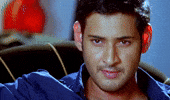 Mahesh Babu Businessman GIF