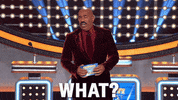 Game Show Celebrity Family Feud Abc GIF by ABC Network