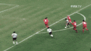 Vamos World Cup GIF by FIFA