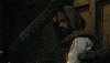 GIF by Game of Thrones