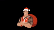 Merry Christmas GIF by ProjectRock