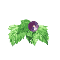 Fruit Leaves Sticker by Ribena