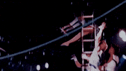 Catch Flying GIF by Ringling Bros. and Barnum & Bailey