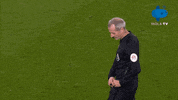 Wolves Penalty GIF by MolaTV
