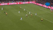 Wolves Penalty GIF by MolaTV