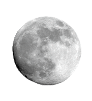 Pink Space Sticker by Smilebooth