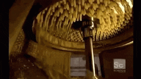 macaroni GIF